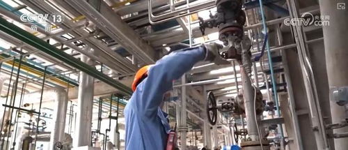 煉化工廠成鳥兒新家 綠色工業(yè)設(shè)計服務，盡顯工業(yè)之美